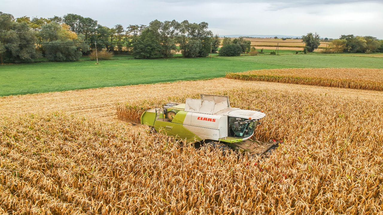 Maïs 2019 | CLAAS Tucano 560 | John Deere 6230