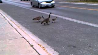 VID-20120525-00002