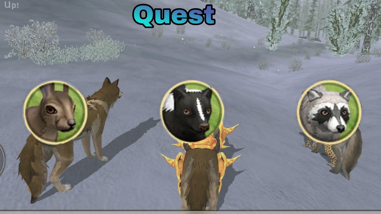 Winter forest quest in wildcraft hare skunk and raccoon hunt - YouTube