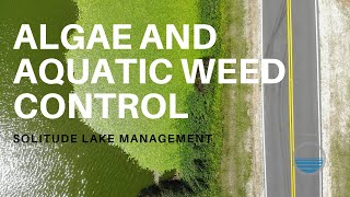 How to Control Pond Algae and Aquatic Weeds In Lakes