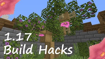 1.17 New Cave Blocks and Build Hacks!! | 1.17 Snapshots 21w03a, 21w05a, &21w05b