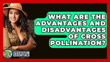 What Are The Advantages And Disadvantages Of Cross Pollination? - Ecosystem Essentials