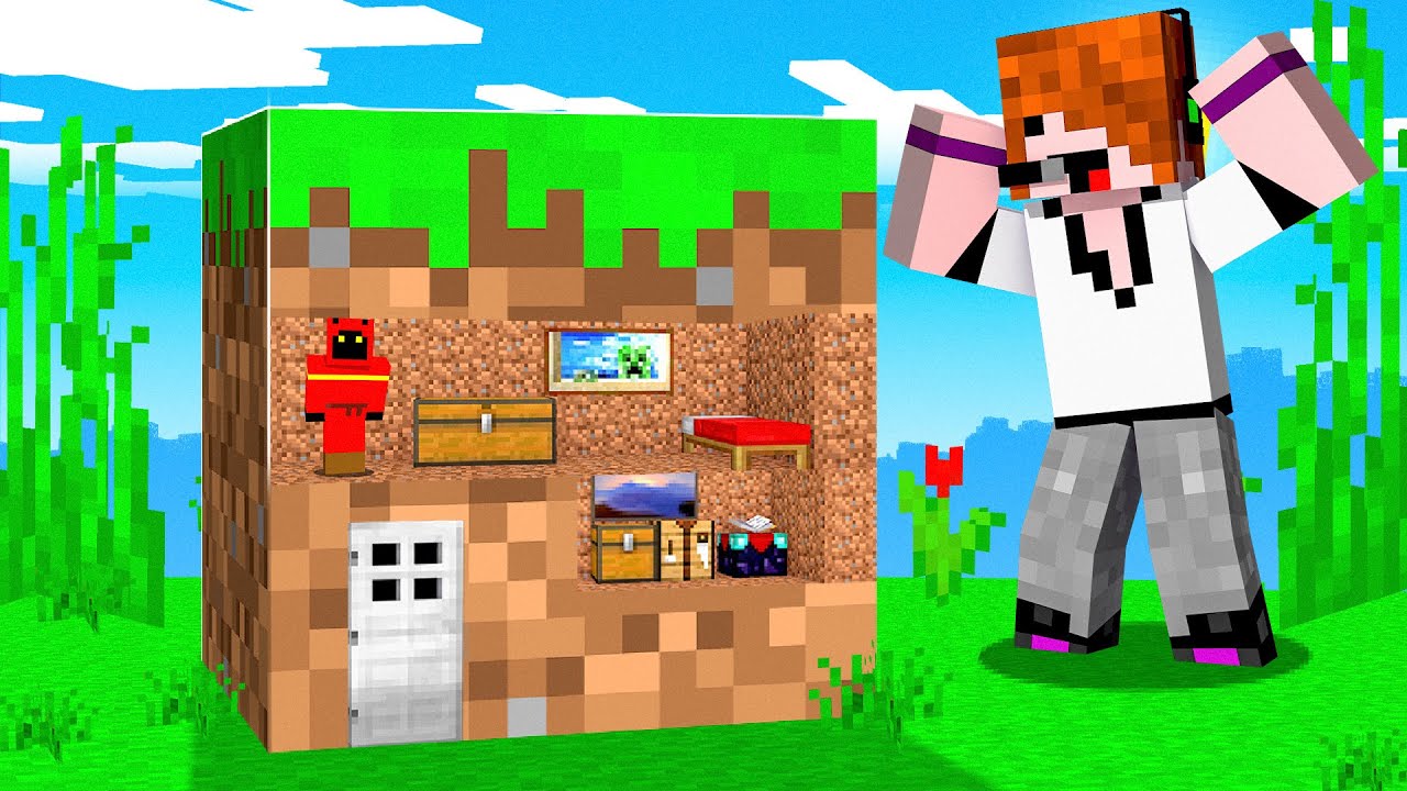 Trolling With World’s SMALLEST Minecraft House..