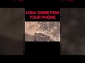 Lion: cime pick your phone. Chat music