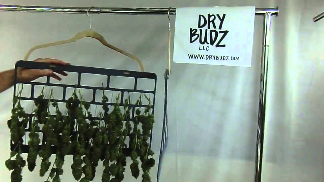Marijuana Drying System - Rack Hang Dry Cannabis (DryBudz BudRak)