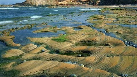 019 سورة مريم الشيخ إبراهيم جمال القرجاوي برواية #روح_عن_يعقوب