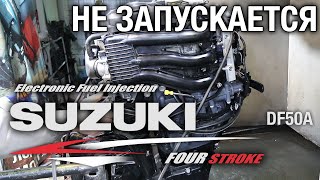 SUZUKI DF50A EFI не запускается