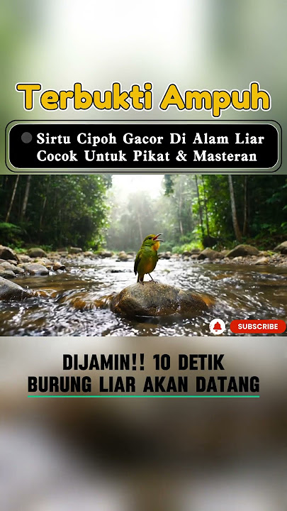 Tranquil Jungle Escape: Relaxing River Sounds & Tropical Birdsong for Deep Sleep #naturesounds