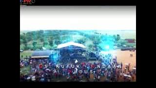 New pallapa kukor 2016 'sedingin salju - dwi ratna'