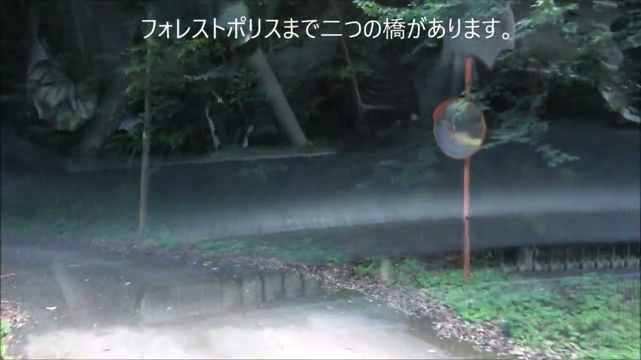 奄美　名音からフォレストポリスへ行ってみました。