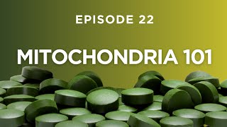 Mitochondria 101: How Alkaline Supercharges Your Body And Where To Get It!