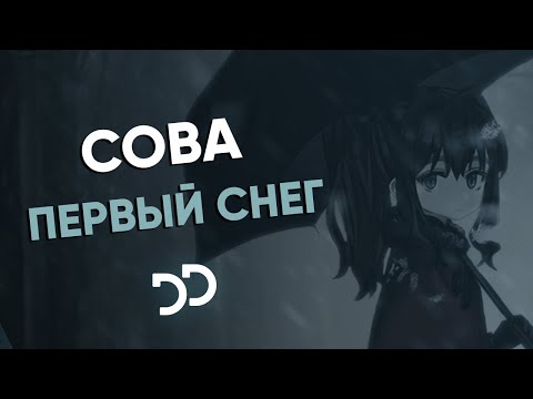 Сова - Первый снег