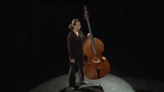Double Bass Instrument Position