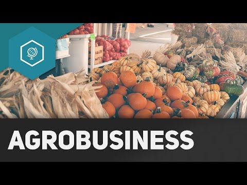 Was ist Agrobusiness? - Landwirtschaft in Industrieländern 3 ● Gehe auf SIMPLECLUB.DE/GO