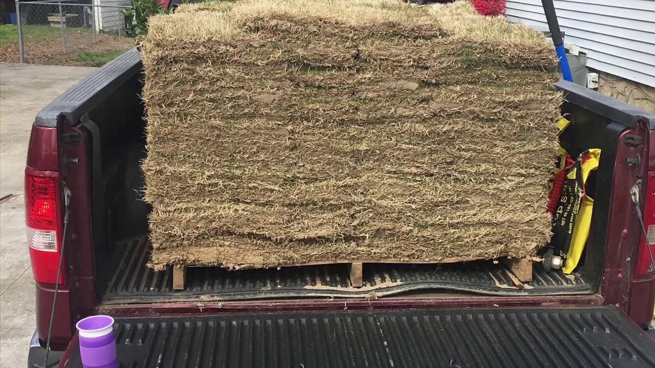 01 laying Bermuda 419 sod