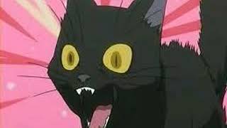 Yourichi Swears
