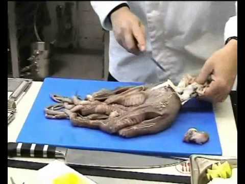 Video: Chobotnica V Gréčtine - Krok Za Krokom Recept S Fotografiou
