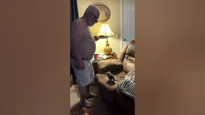 Dad Has HILARIOUS Moment With Kitten Sitting on His Spot