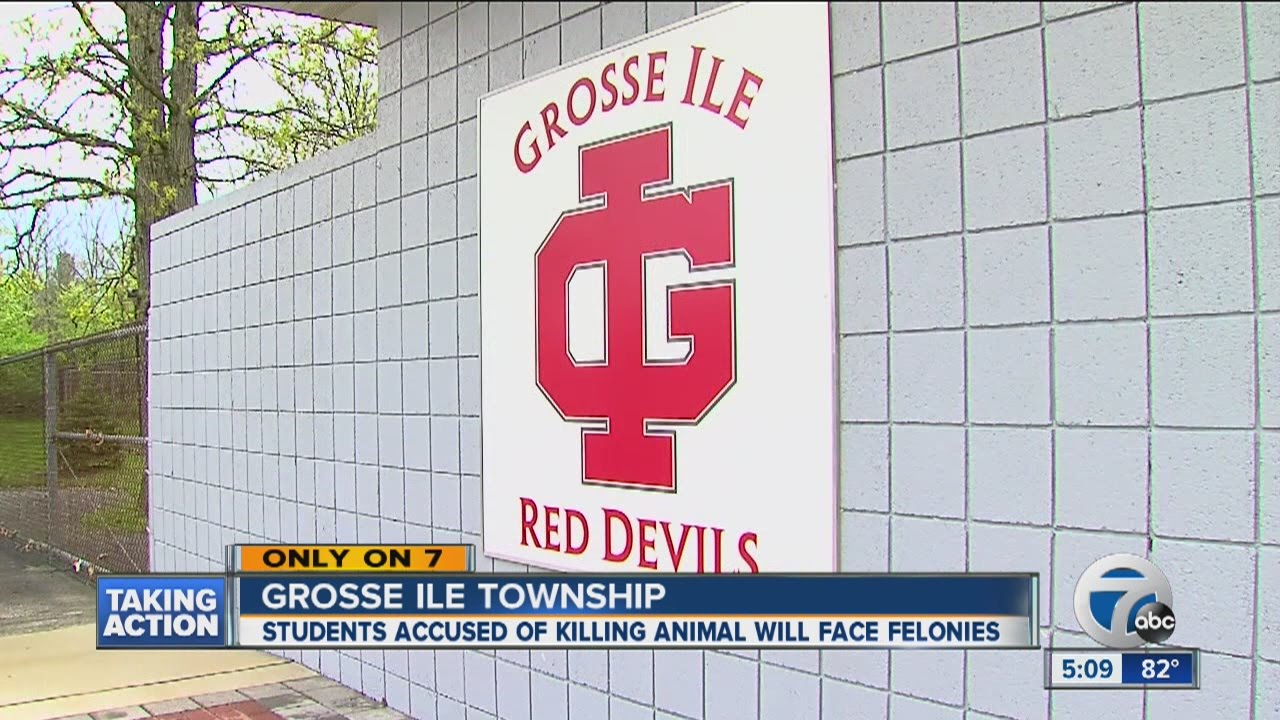 Charges expected in Grosse Ile animal cruelty case