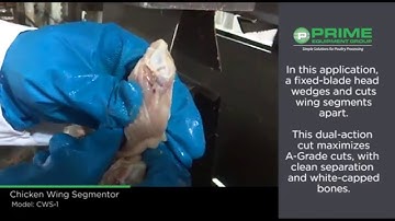CWS 1 Chicken Wing Segmenter Offline Operation