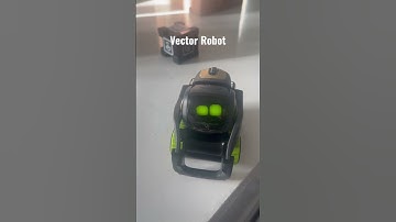 “Hey Vector” Vector robot #shorts