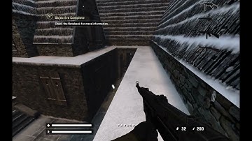 RealRTCW 4.0 new enemy - Hund