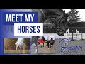 Meet My Horses! First ever Video!! | Egan Eventing