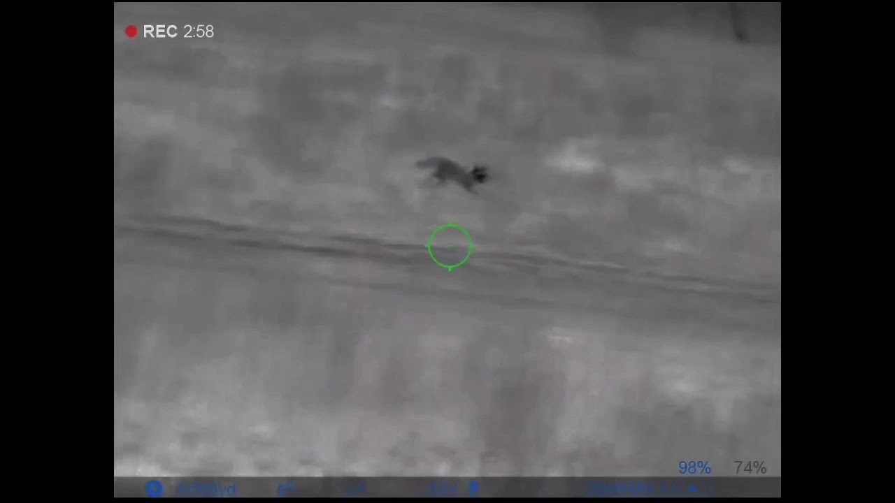 Predator calling using convergent bullet HP and Pulsar Thermion XQ38