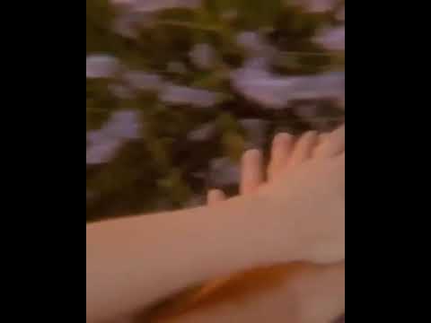 اوعي تبعد وتنساني حسام حبيب حالات واتس