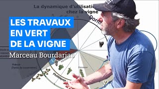 Les travaux en vert - formation Viticulture Grandeur Nature, Marceau Bourdarias