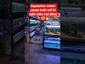 Aquarium motar pump mil hi nahi rha 😓 #filter #aquarium #shortsviral #viralvideo #ytshorts #shorts