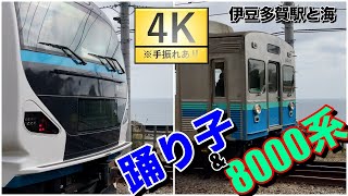 【4K】【#踊り子】 海と踊り子と伊豆急行8000系