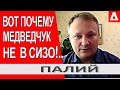 Я понимаю политическую мотивацию Зеленского по Медведчуку - Александр Палий