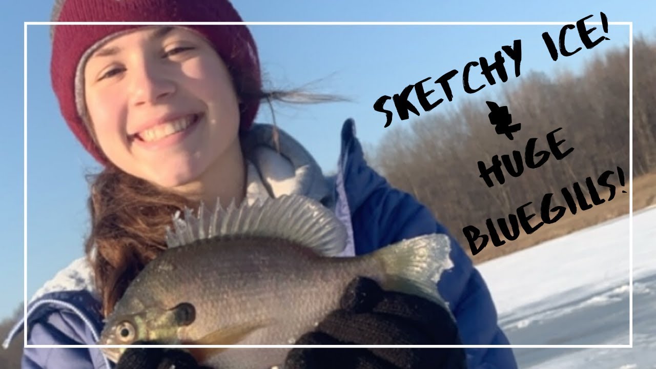 Fishing for HUGE Bluegill on THIN Ice!! (BIG PANFISH) 