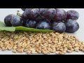 Semillas de uva, para bajar de peso, prevenir el cáncer y rejuvenecer