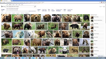 The reason Bing is better Than Google
