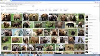 The reason Bing is better Than Google