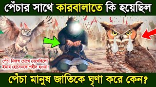 হযরত ইমাম হোসেন আর পেঁচার কাহিনী | পেঁচা ইমাম হোসেনকে হত্যা হওয়া দেখেছিলো! Karbala | story - ik