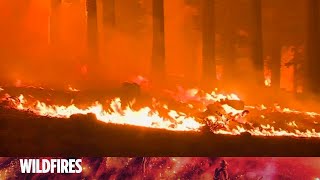 La Niña winter weather: How it could impact California wildfires