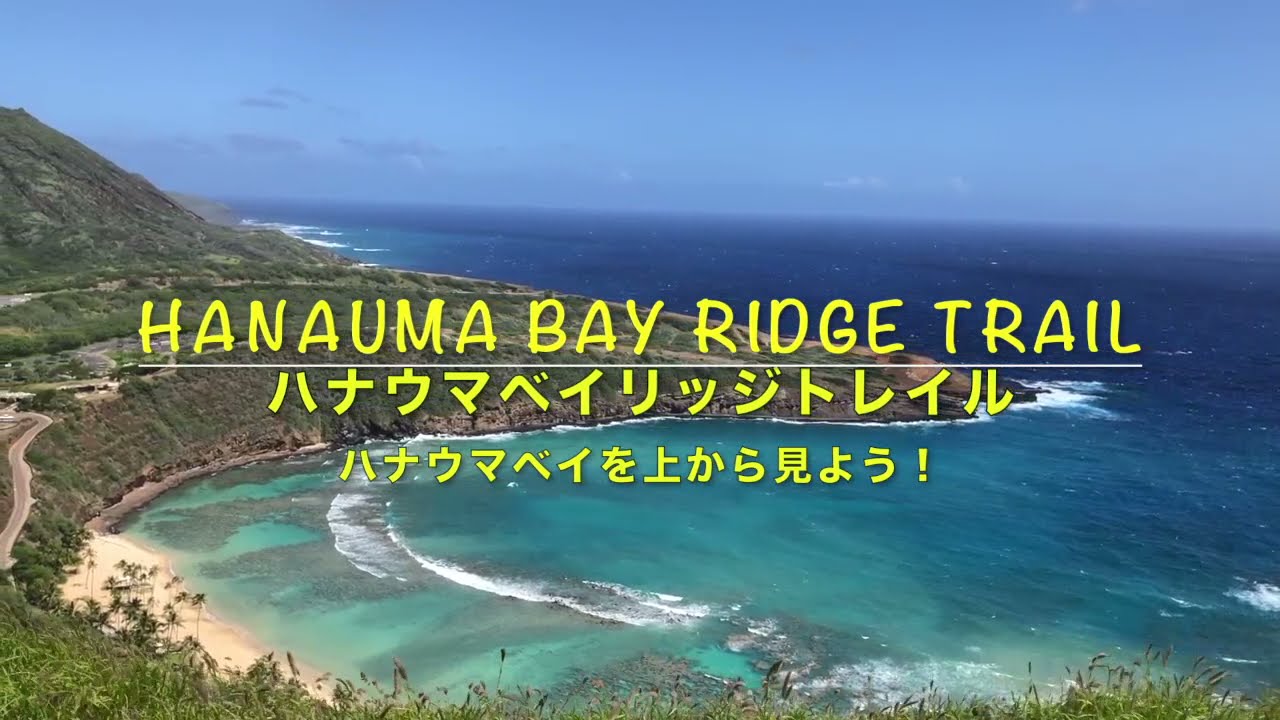 21 2 ハワイ ハナウマ湾を上から見るハナウマベイリッジトレイル オアフ島 ハワイ の旅行記 ブログ By Travel Bunnyさん フォートラベル