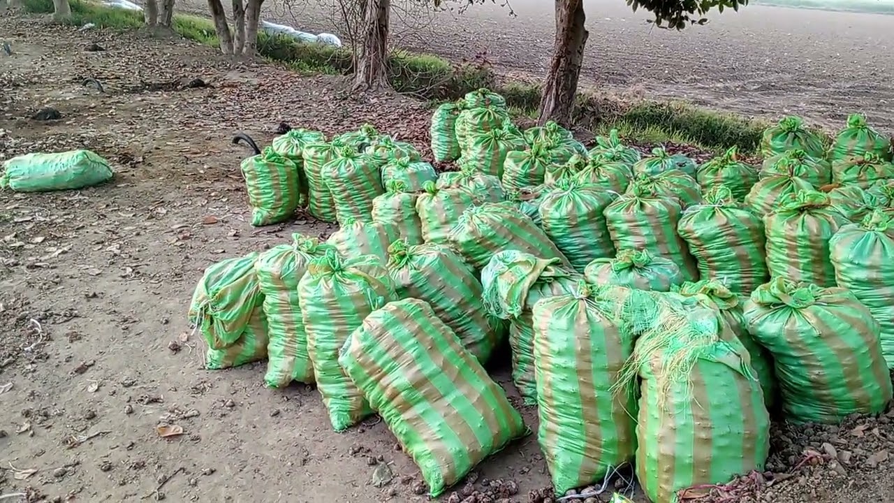 اسلام علیکم آپ لوگوں کا شکریہ 