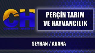 PERÇİN TARIM VE HAYVANCILIK - SEYHAN / ADANA