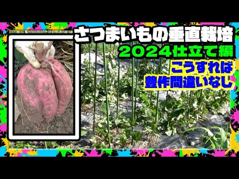 小スペースでも野菜をたっぷり収穫！7つの垂直蔬菜園アイデアを紹介