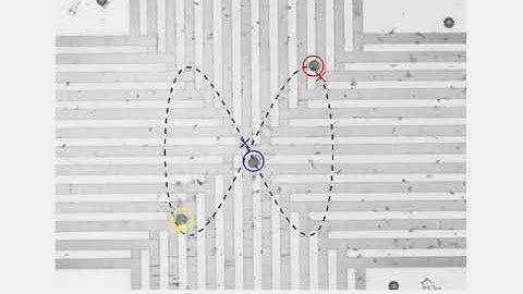 Parallel manipulation using dielectrophoresis