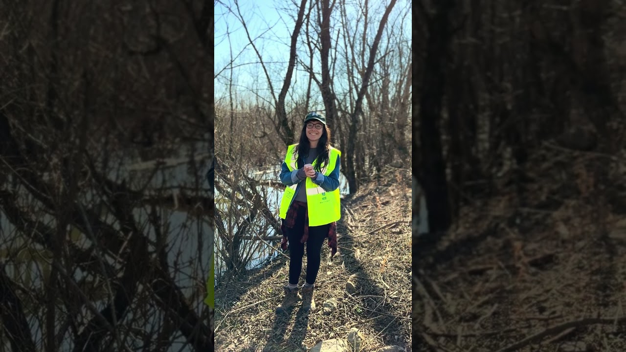 Tennessee's Wonderful Wetlands (Part 1)