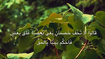 عبدالخالق آل عواض القحطاني سورة ص من الآية 17ــ24