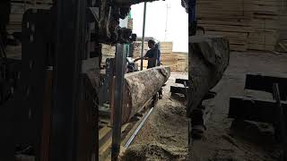 #wood #woodworking #bandsaw
