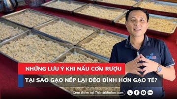 Những Lưu Ý Khi Nấu Cơm Rượu l Tại Sao Gạo Nếp Lại Dẻo Dính Hơn Gạo Tẻ l Thiết Bị Thái An
