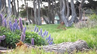 Monterey Bay Coastal Recreation Trail