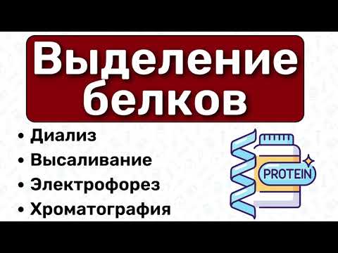 Очистка белков, выделение белков: диализ, электрофорез, хроматография, высаливание / БИОХИМИЯ белков